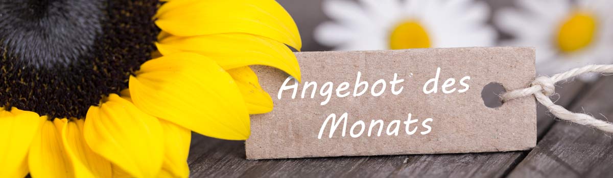 Jeden Monat ein besonderes Angebot von Naturheilpraxis & Life Balance Angebot für Sie von Naturheilpraxis & Life Balance!