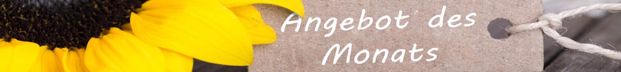 Angebot des Monats